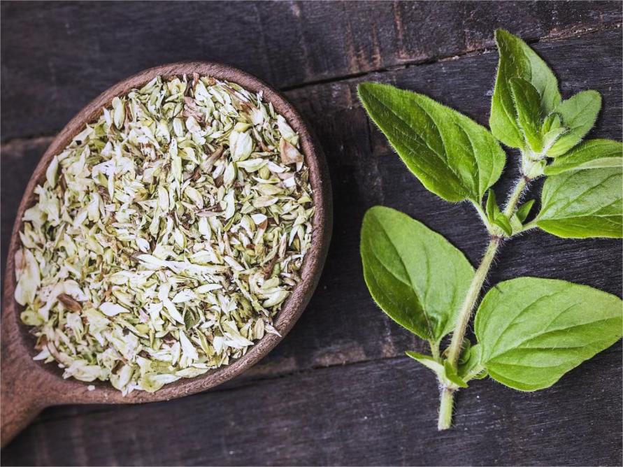 墨西哥香辛料的靈魂角色：不可或缺的牛至