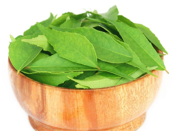 香辛料新寵：咖喱葉，南印度料理的靈魂香辛料探秘